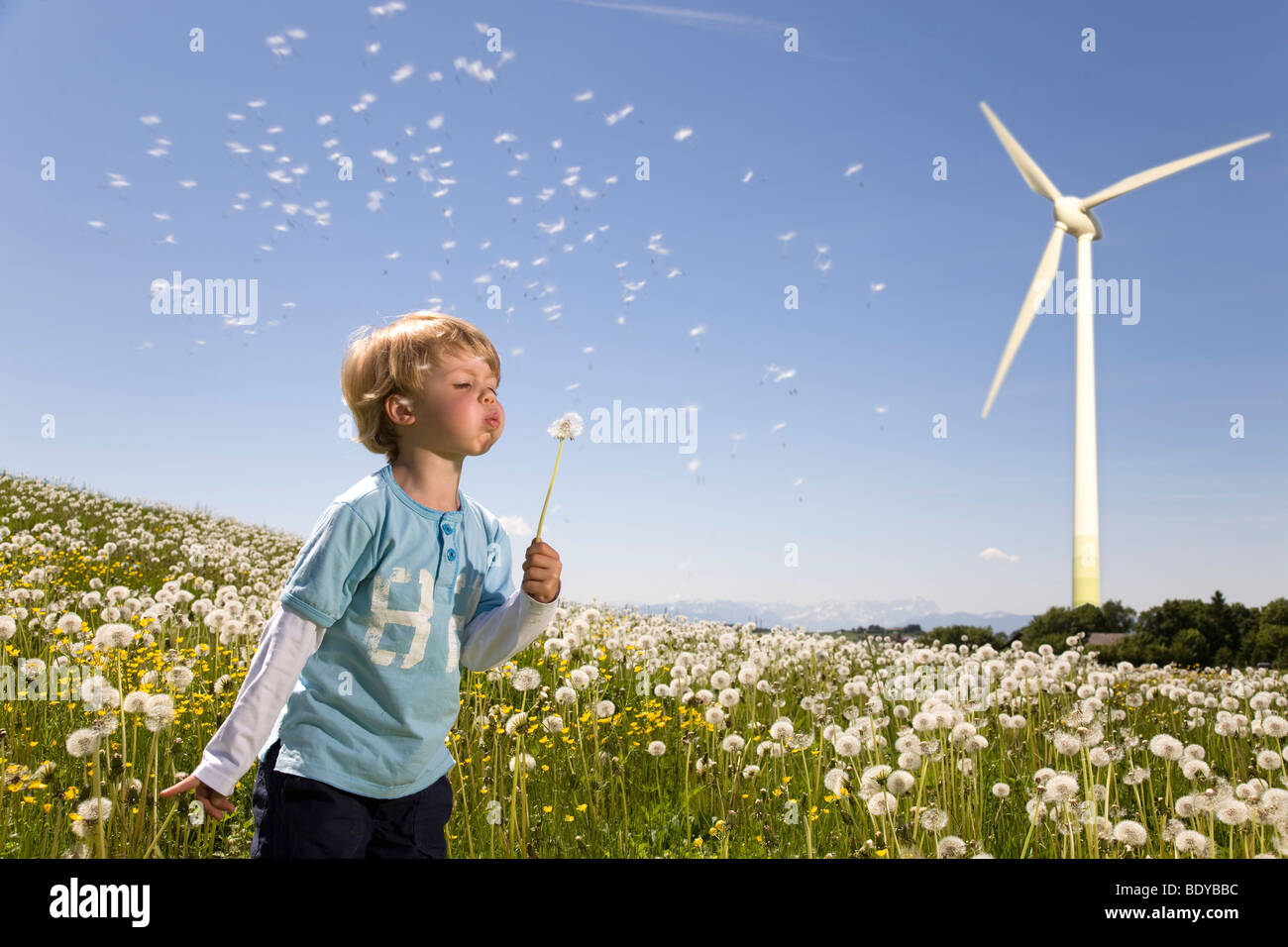Boy blowing dandelion à wind turbine Banque D'Images