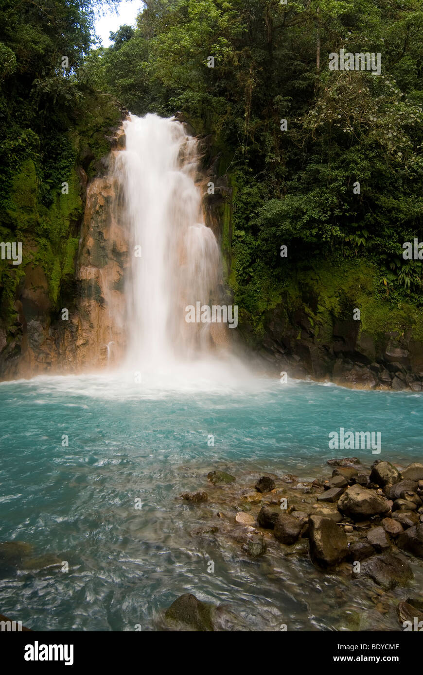 Chute d'eau à Rio Celeste, Tenorio Volcano National Park, Costa Rica. Banque D'Images