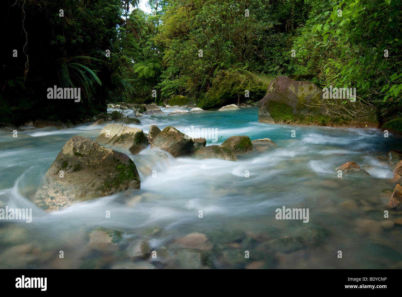 Rapids à Rio Celeste, Tenorio Volcano National Park, Costa Rica. Banque D'Images