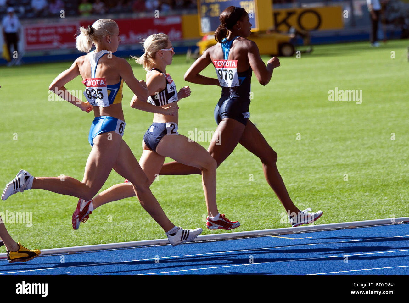 Dans la chaleur de la femme au 800 mètres aux Championnats du monde d'athlétisme 2009 à Berlin, Allemagne, Europe Banque D'Images