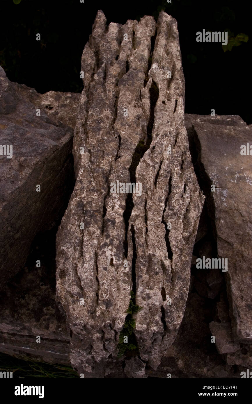 Gros plan du haut d'un Stone-Wall traditionnels, l'Inis Mor (Inismore) Island, les îles d'Aran, Co. de Galway, Irlande Banque D'Images