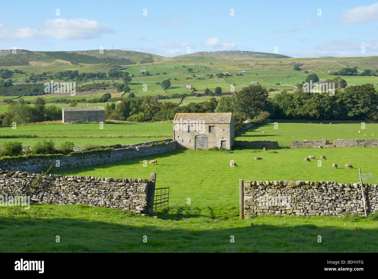 Domaine des granges près de Aysgarth, Wensleydale, Yorkshire Dales National Park, North Yorkshire, England UK Banque D'Images