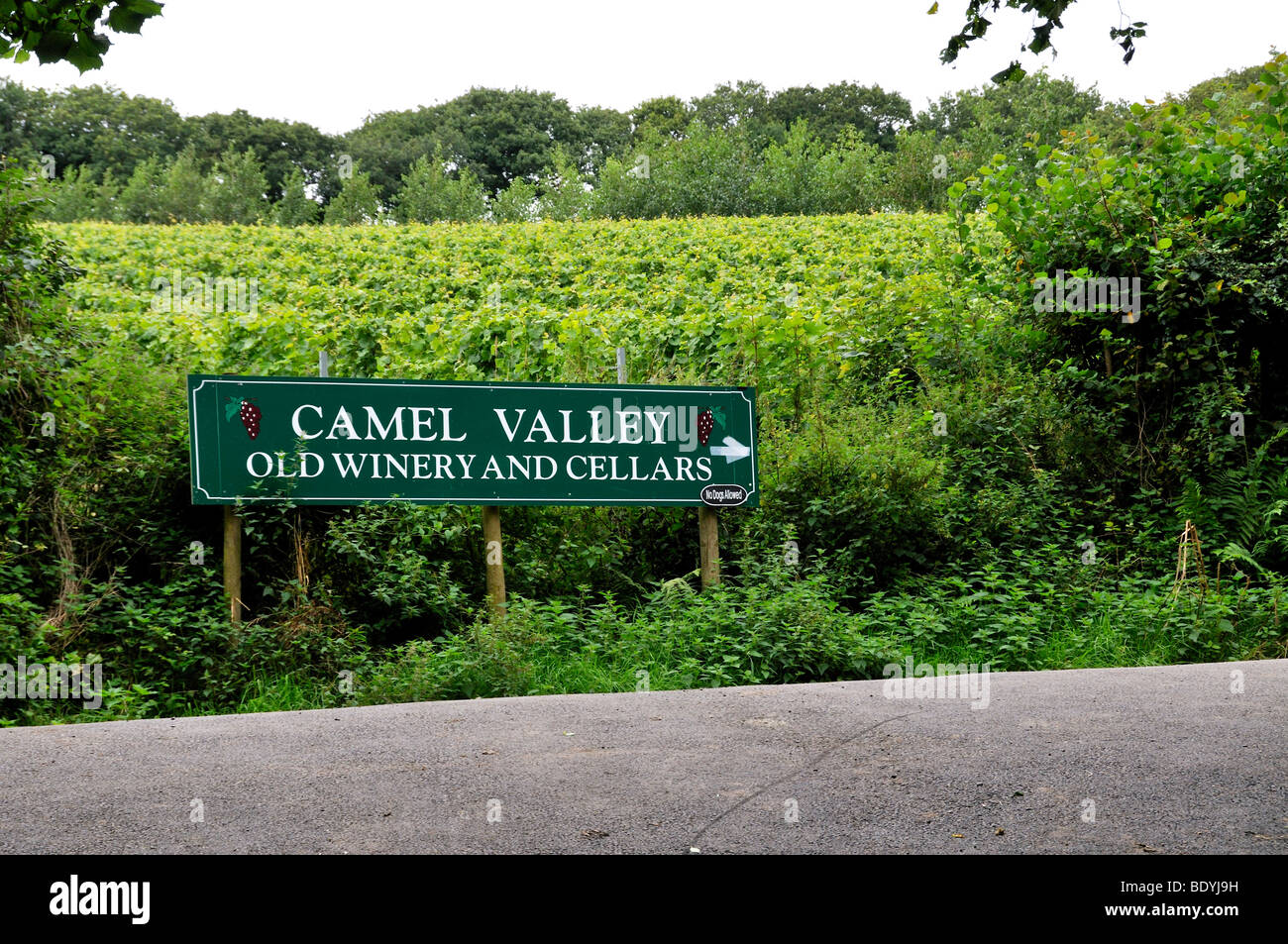 Camel Valley Old Winery et caves, Camel Trail, Cornwall, Angleterre. Banque D'Images