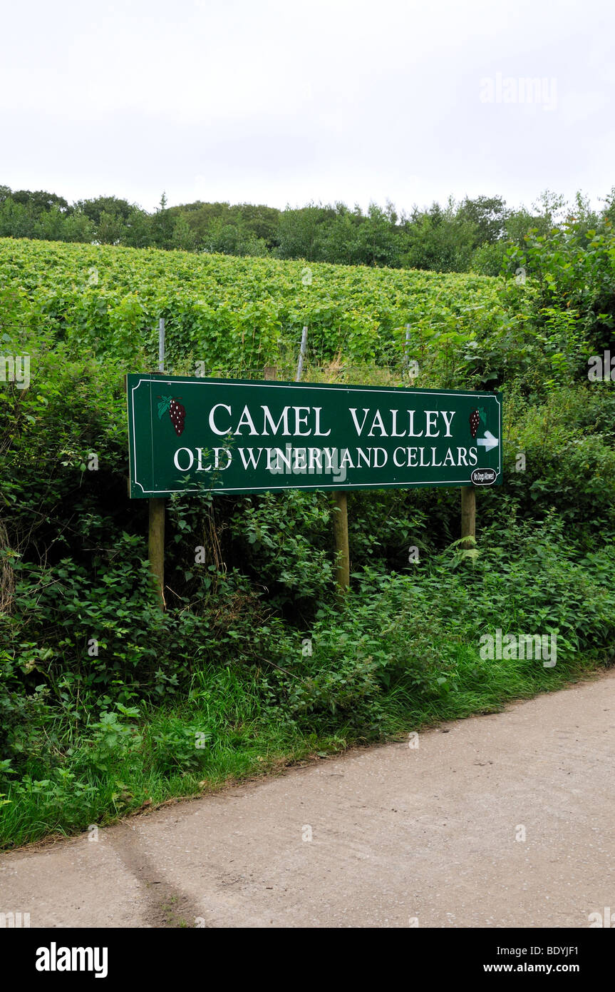 Camel Valley Old Winery et caves, Camel Trail, Cornwall, Angleterre. Banque D'Images