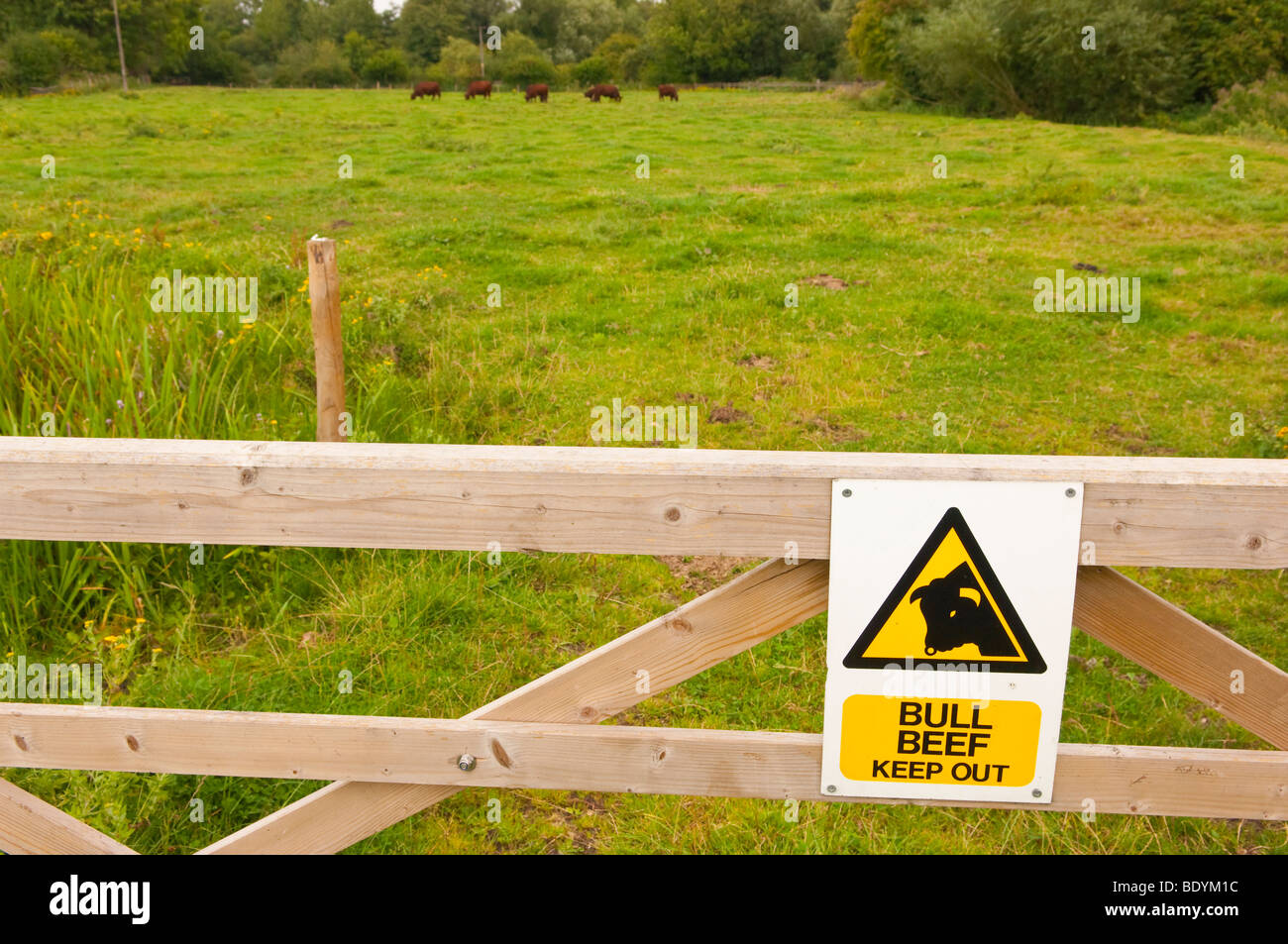 Un signe d'avertissement un taureau dans un champ à Gressenhall musée de la vie rurale dans la région de North Norfolk Uk Banque D'Images