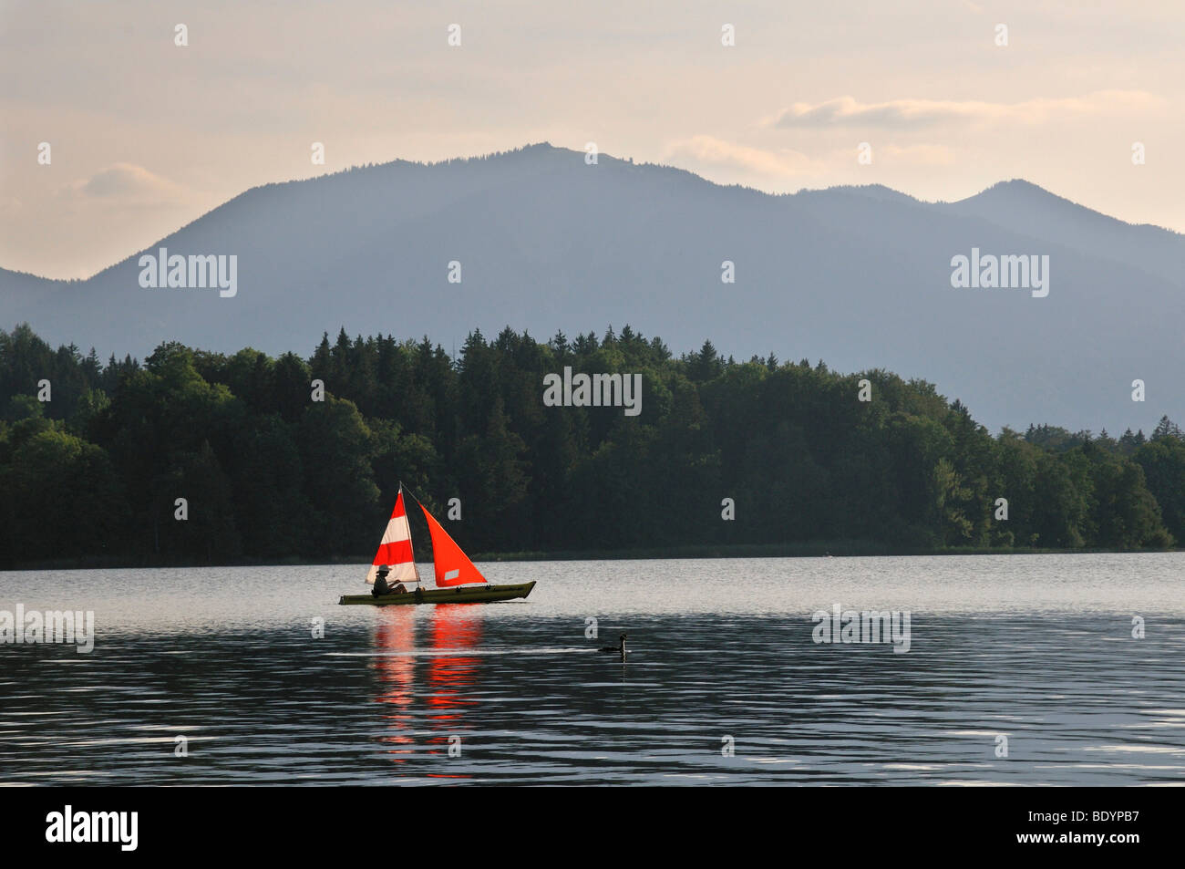 Petit voilier sur le lac Staffelsee, Upper Bavaria, Bavaria, Germany Banque D'Images