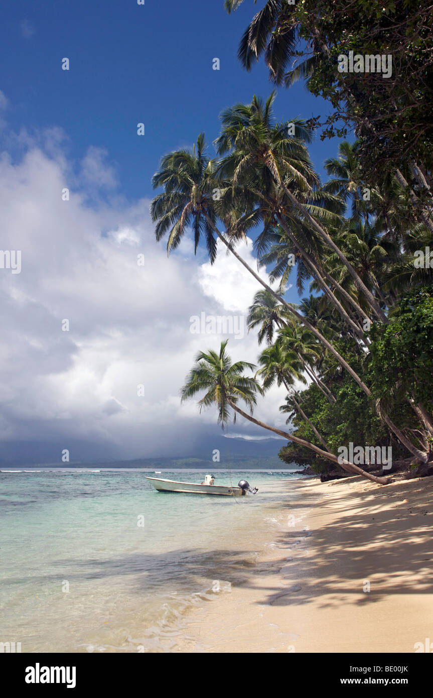 Palm beach, Qamea, Fidji, Îles Fidji, Océanie, Pacifique Sud Banque D'Images