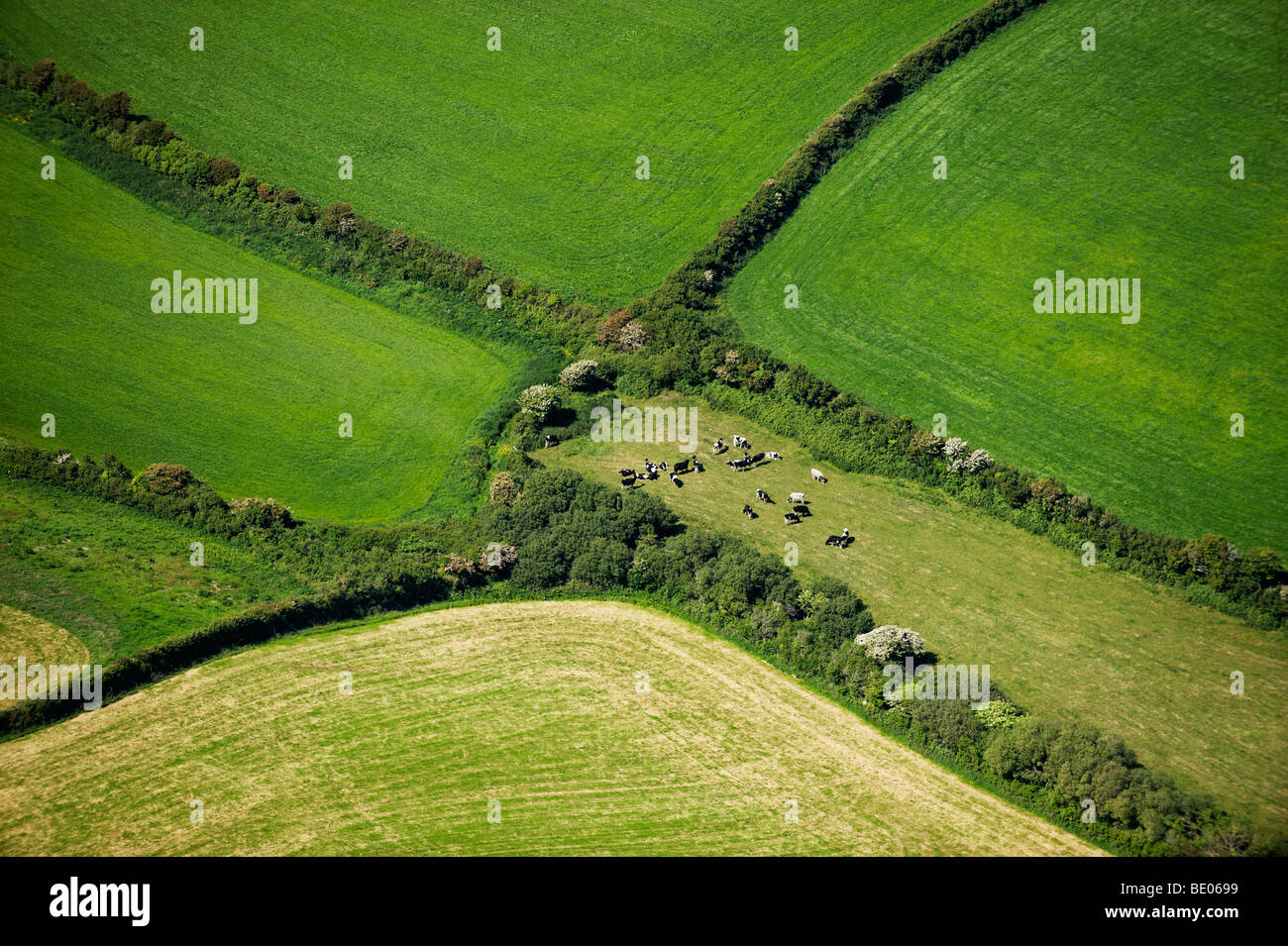 Les champs agricoles de l'Angleterre Vue aérienne Banque D'Images