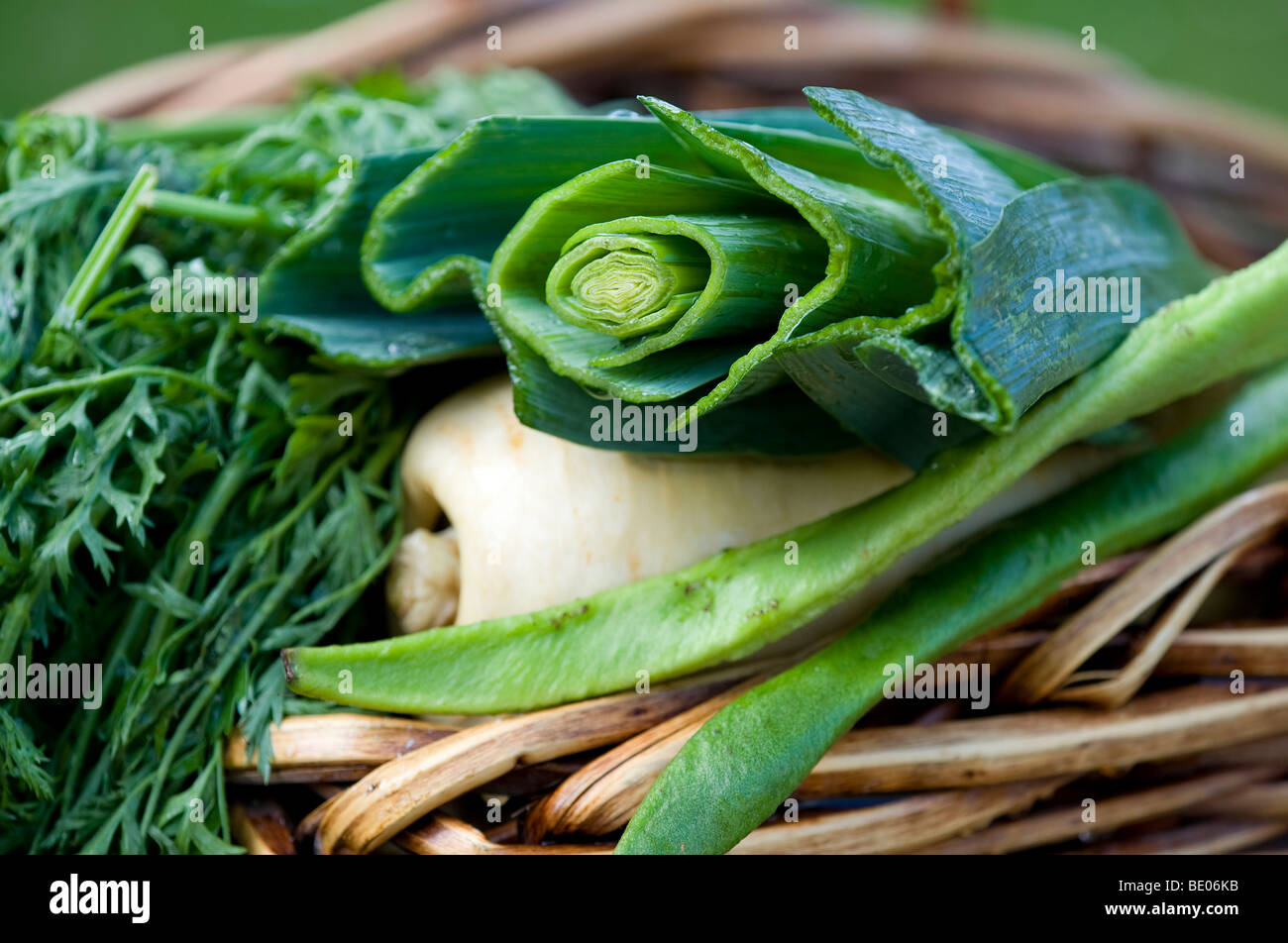 Les légumes organiques dans panier en osier Banque D'Images