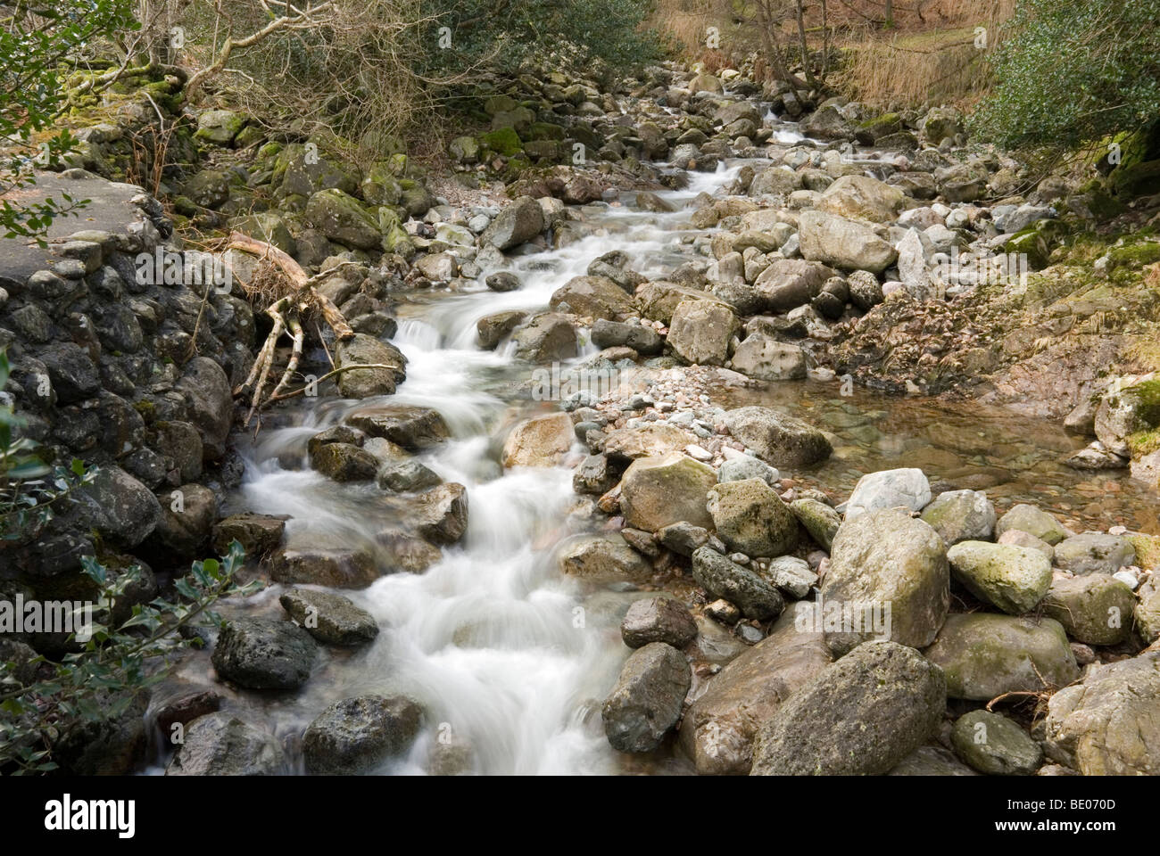 De l'eau blanc se précipiter un Rocky Mountain Stream, Elterwater Valley, Lake District, Cumbria, Angleterre Banque D'Images