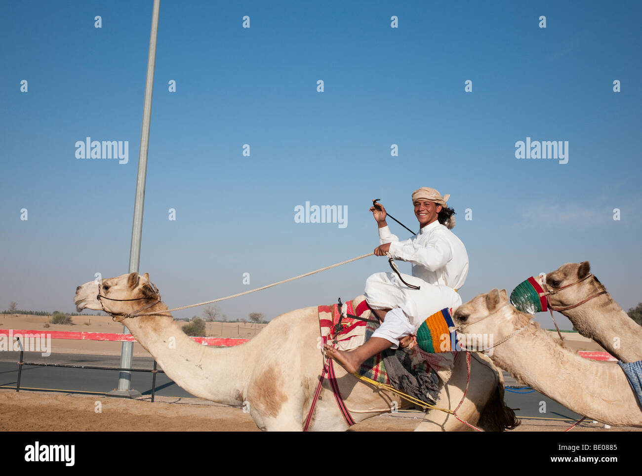 Camel Rider à Dubaï Banque D'Images