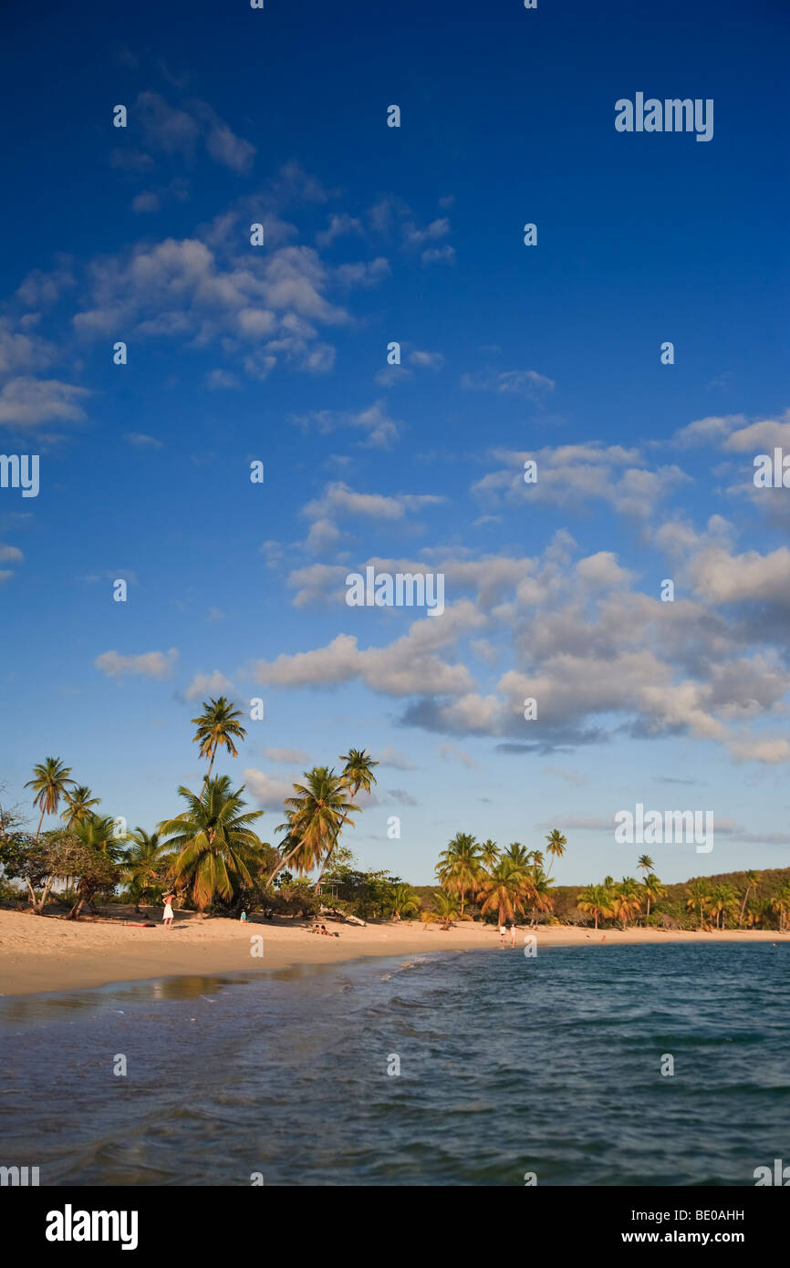 Usa, Amérique, Porto Rico, l'île de Vieques, Sun Bay Beach Banque D'Images