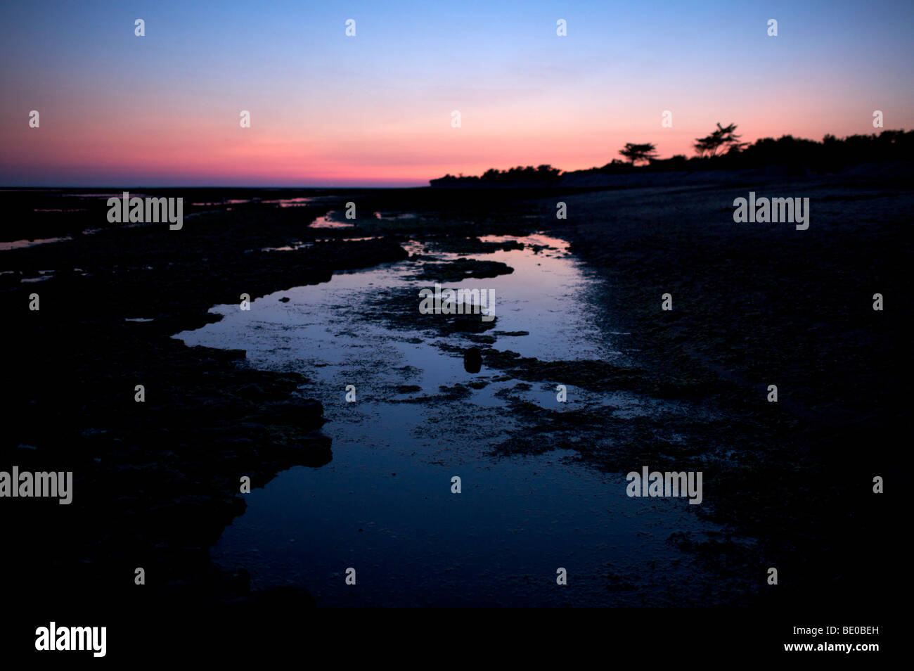 Plage De La Noue Ile De Ré France Banque Dimages Photo