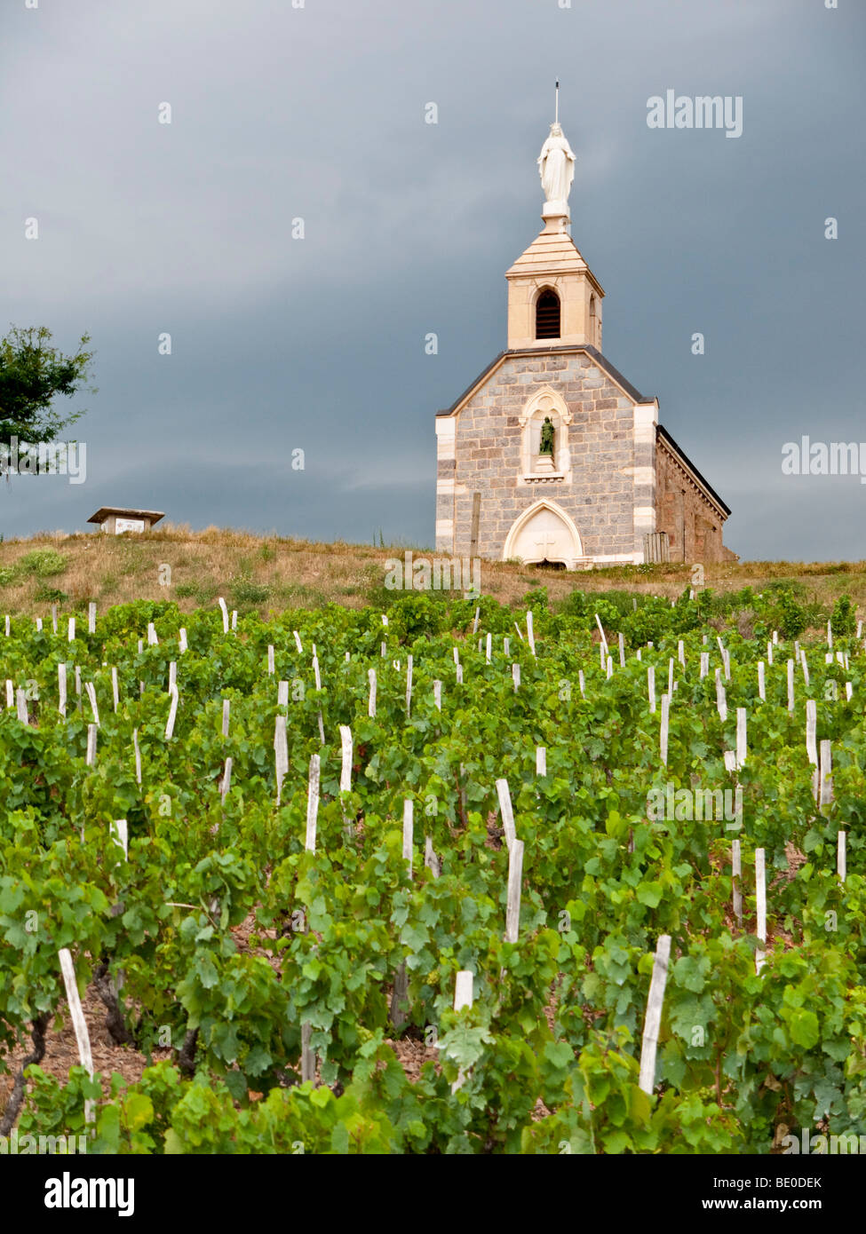 La chapelle "La Madone" est au-dessus de la célèbre vignoble du Beaujolais de Fleurie. Banque D'Images