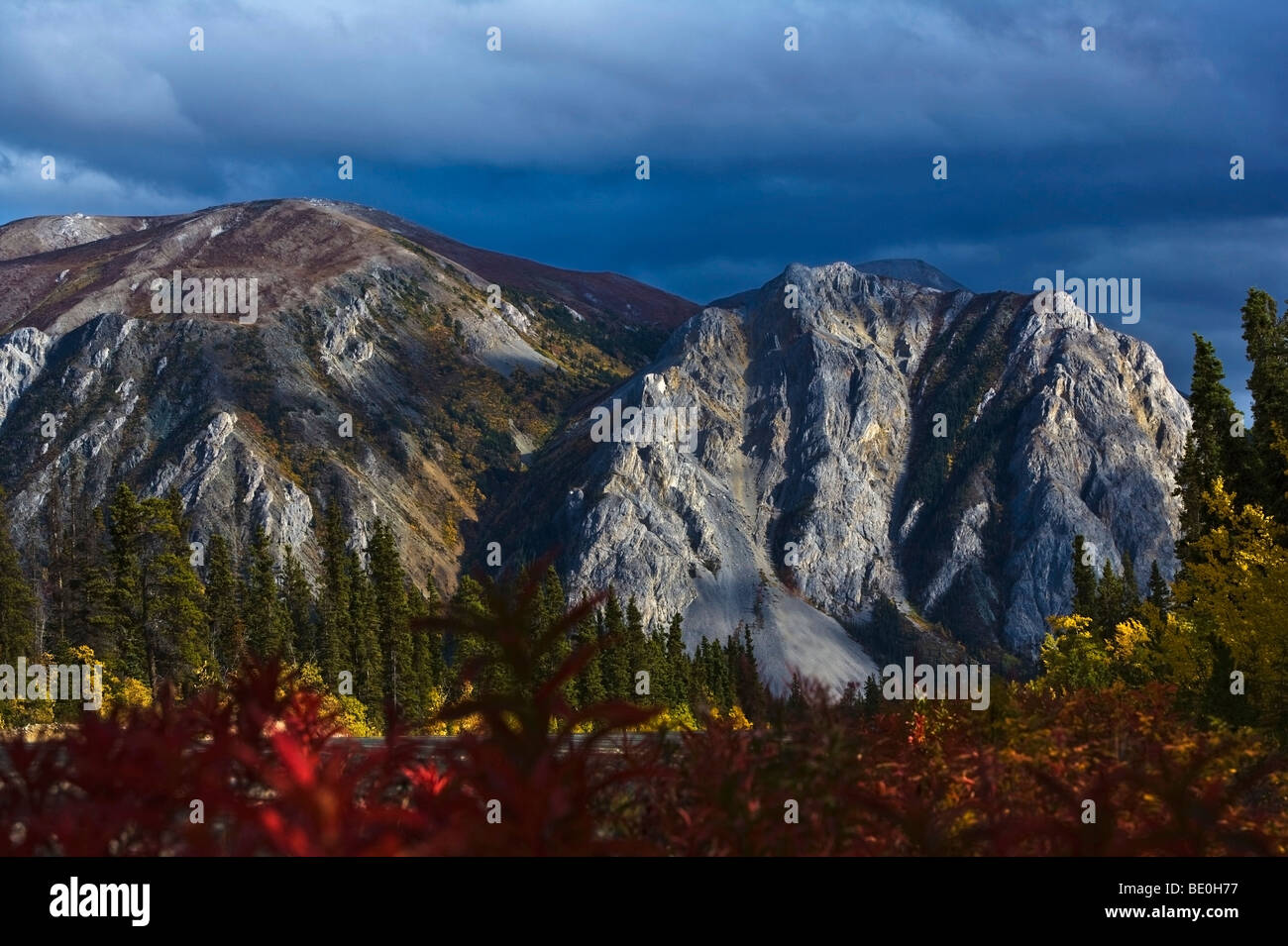 Montagne Nares, Territoire du Yukon, Canada ; Mountain et arbres en automne Banque D'Images