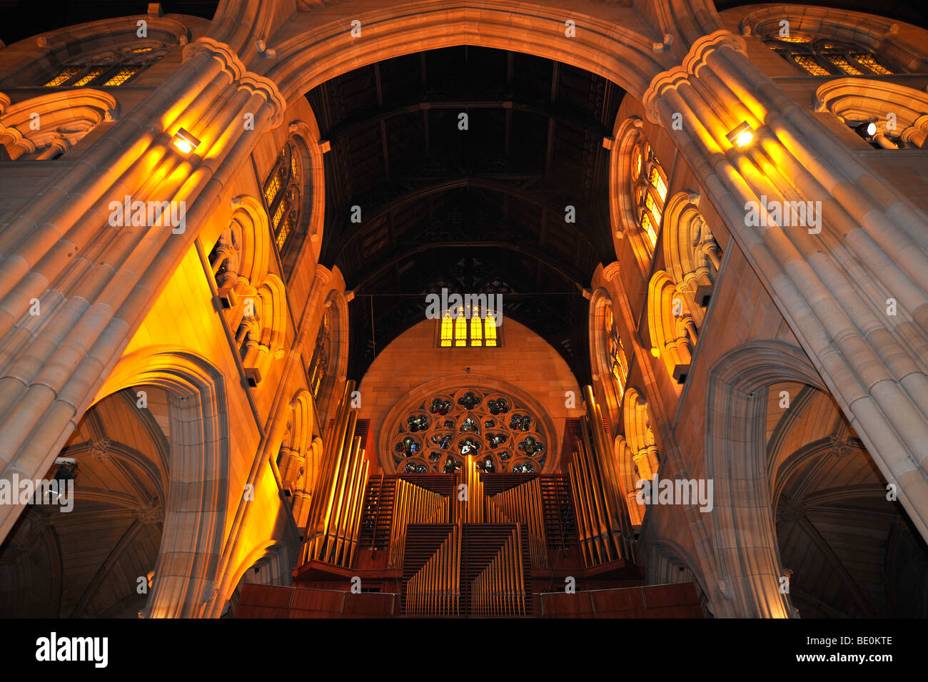 Tourné à l'intérieur de l'organe, plafond en bois de chêne, du centre Bell Tower, cathédrale St Mary, Sydney, New South Wales, Australia Banque D'Images