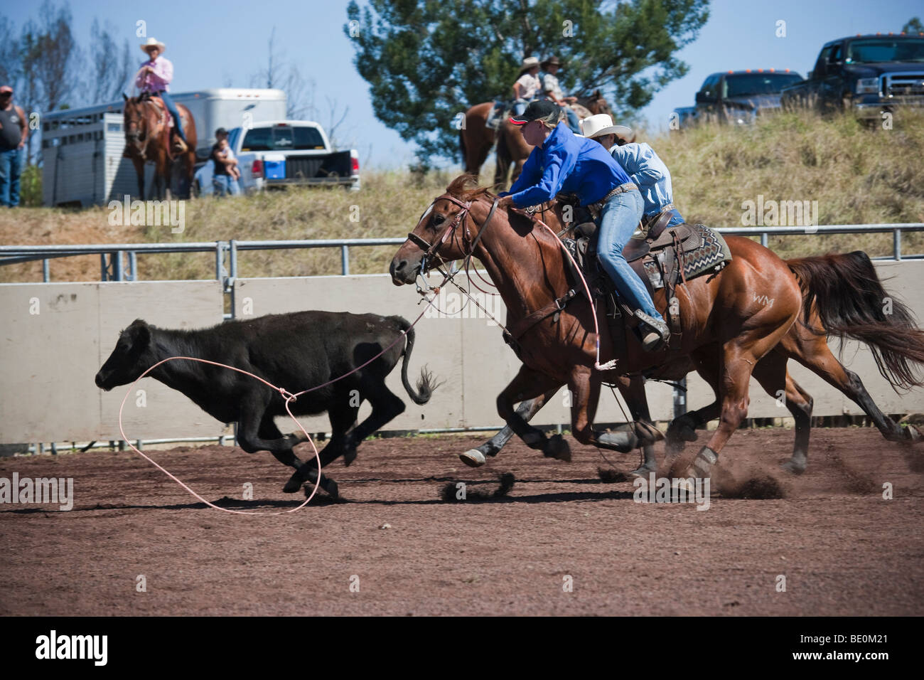 Les femmes participent à l'événement de l'équipe au lasso à Hawaii. Banque D'Images