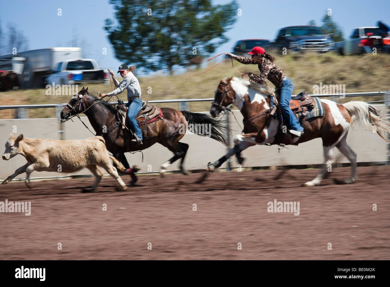 Les femmes participent à l'événement de l'équipe au lasso à Hawaii. Banque D'Images