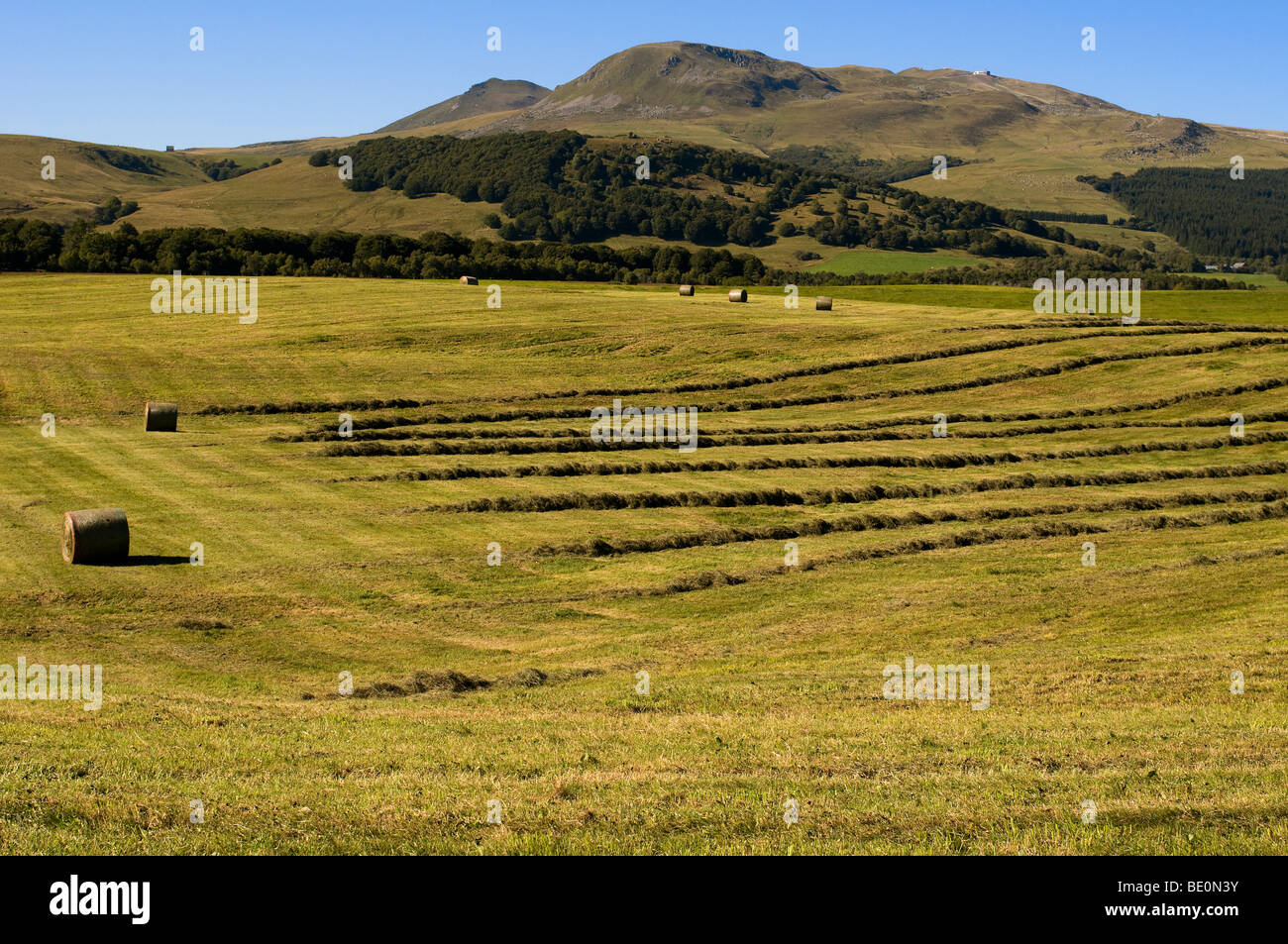 Paysage de la fenaison, massif du Sancy, Auvergne, France. Banque D'Images