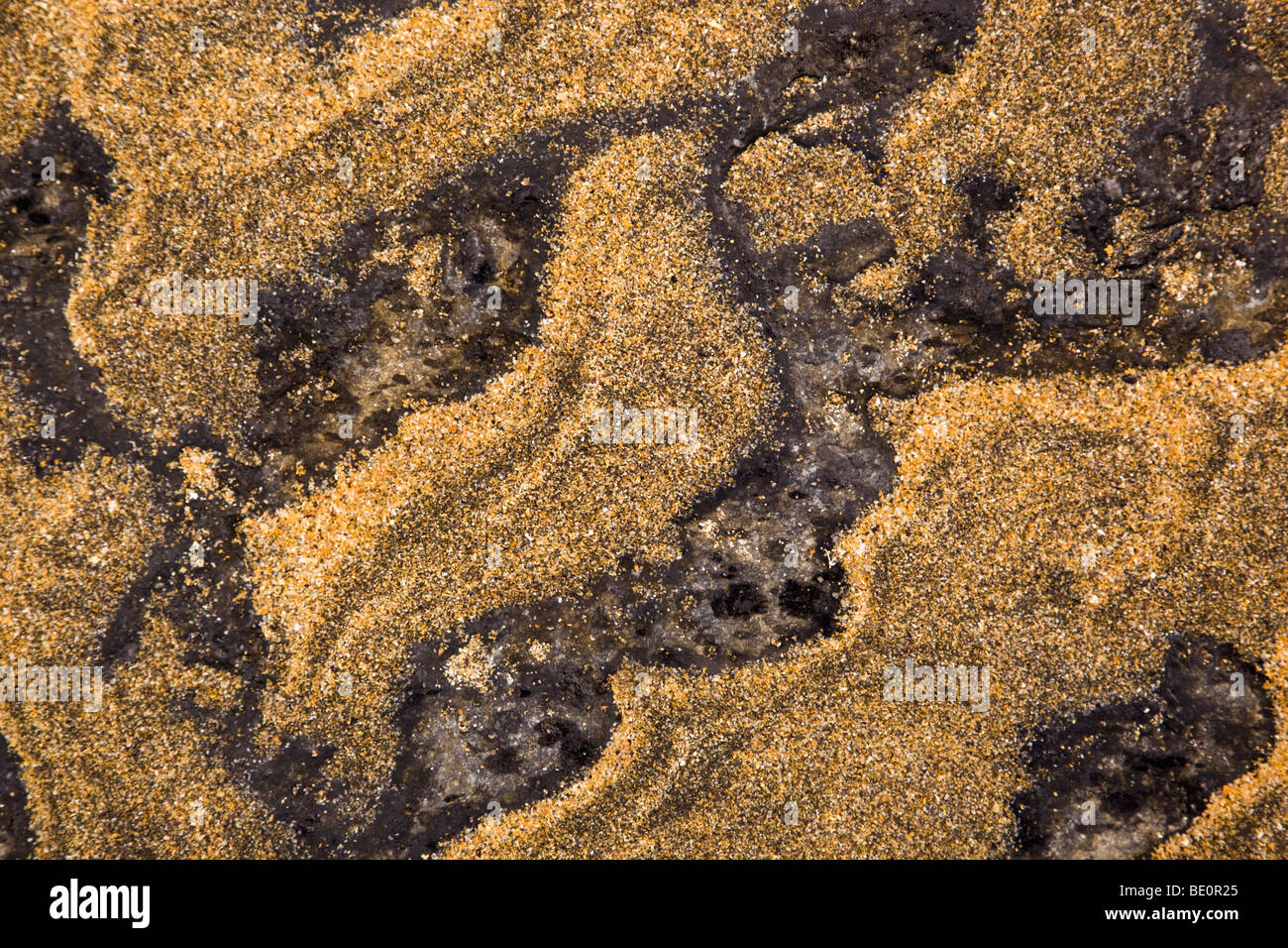 Vaguelettes sur sable calcaire ; le comté de Clare, Irlande Banque D'Images