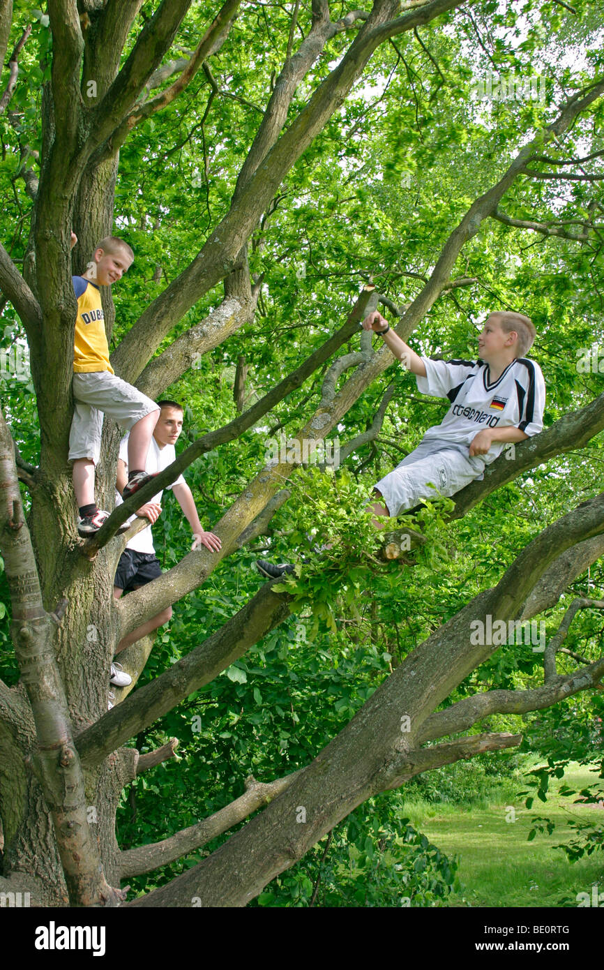 Trois jeunes garçons escalade un arbre Banque D'Images