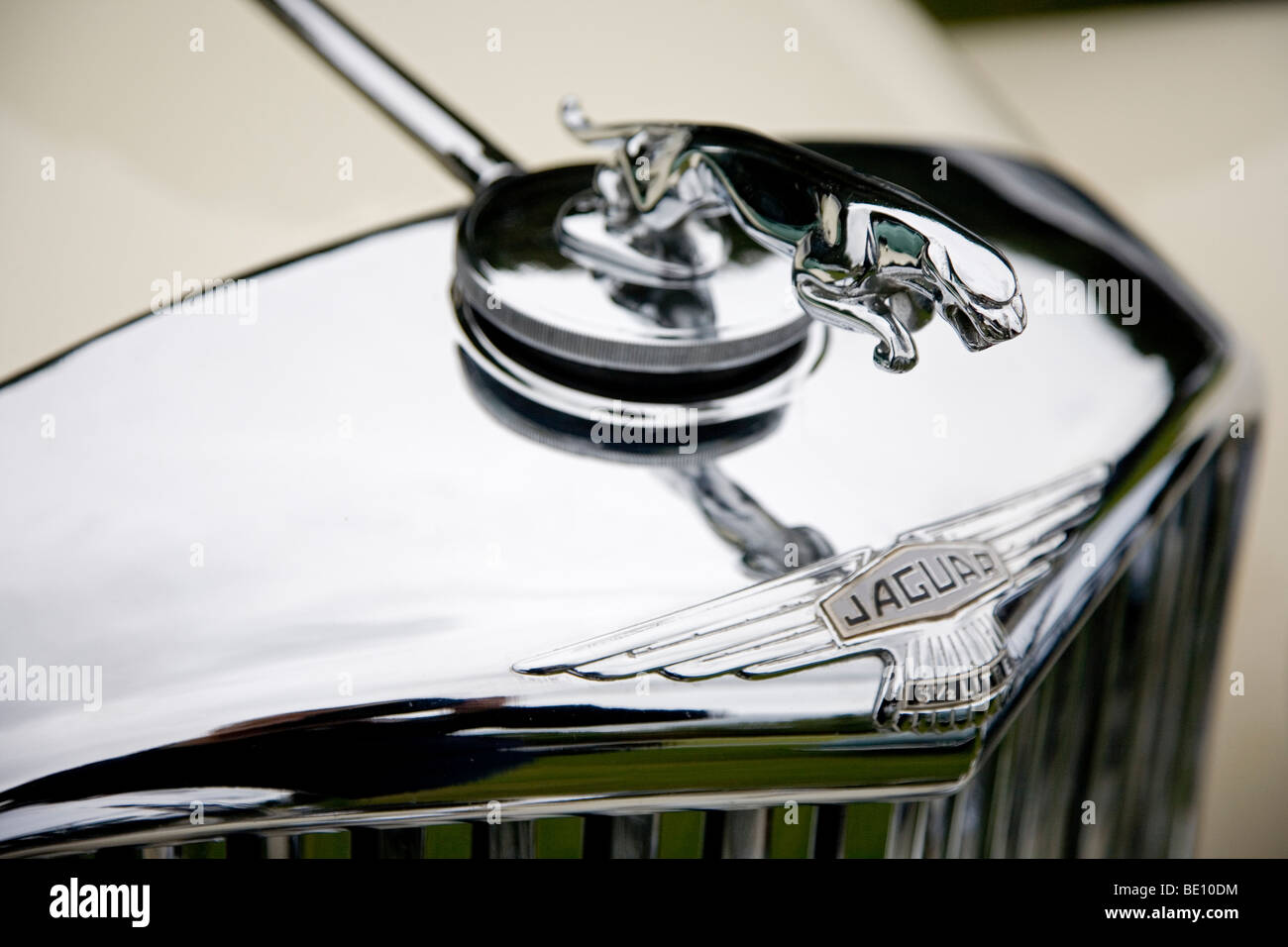 Sautant d'argent sur un emblème ornement Jaguar Jaguar vintage car lors de l'Assemblée Wilton Park Classic Car Show, Batley, West Yorkshire Banque D'Images