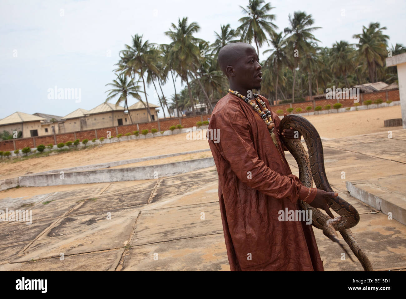 Un homme porte un python royal à Ouidah, Bénin. Dans cette ville historique, pythons sont considérés comme des animaux sacrés. Banque D'Images