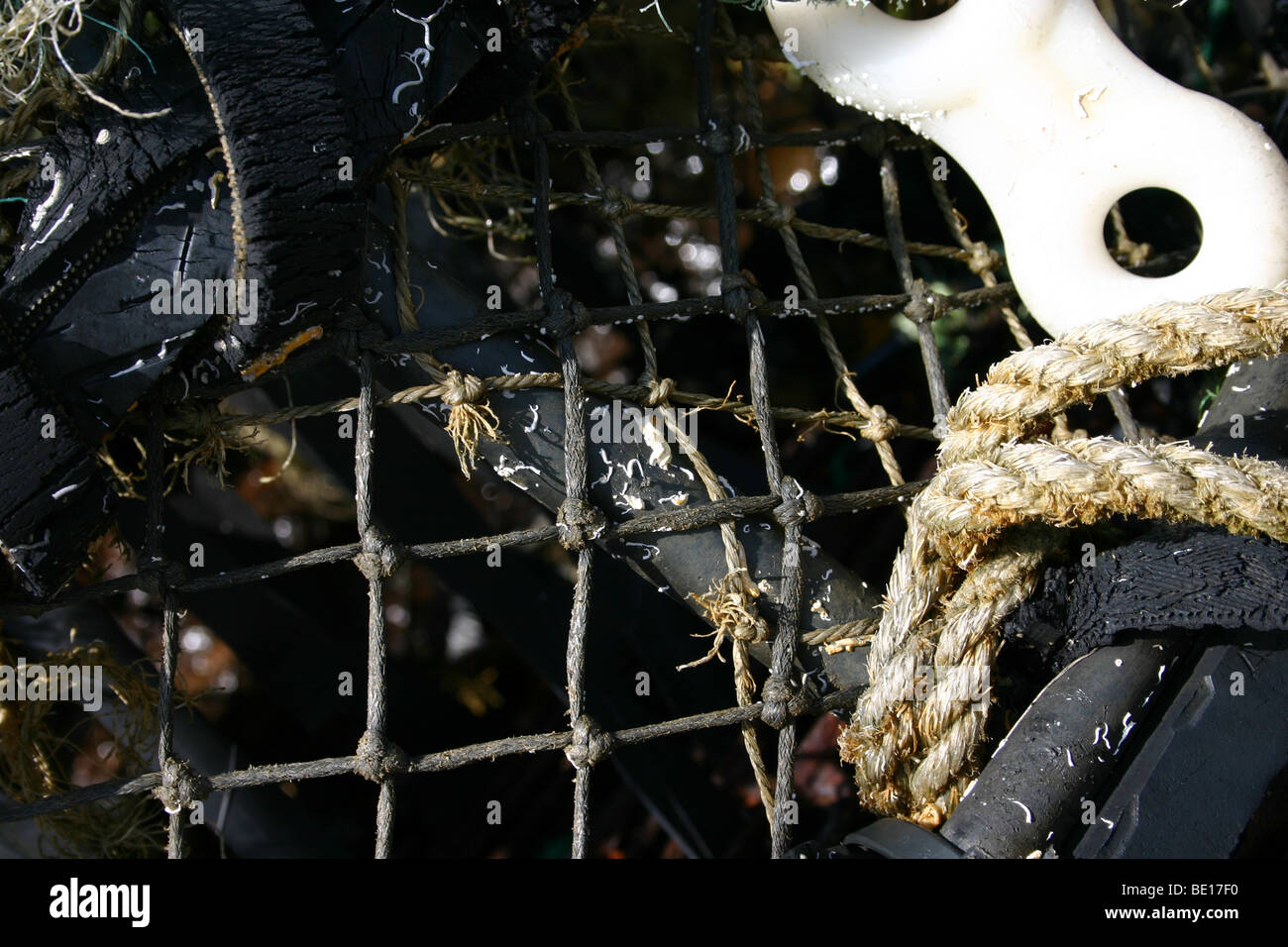 Close-up of a Lobster Pot Banque D'Images