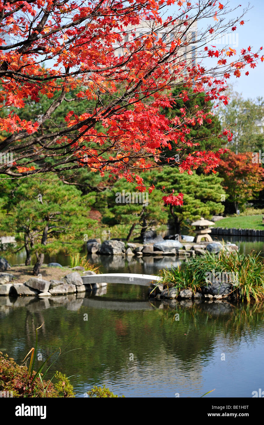 Feuilles d'automne au jardin japonais traditionnel au parc Nakajima. Sapporo, Japon. Banque D'Images
