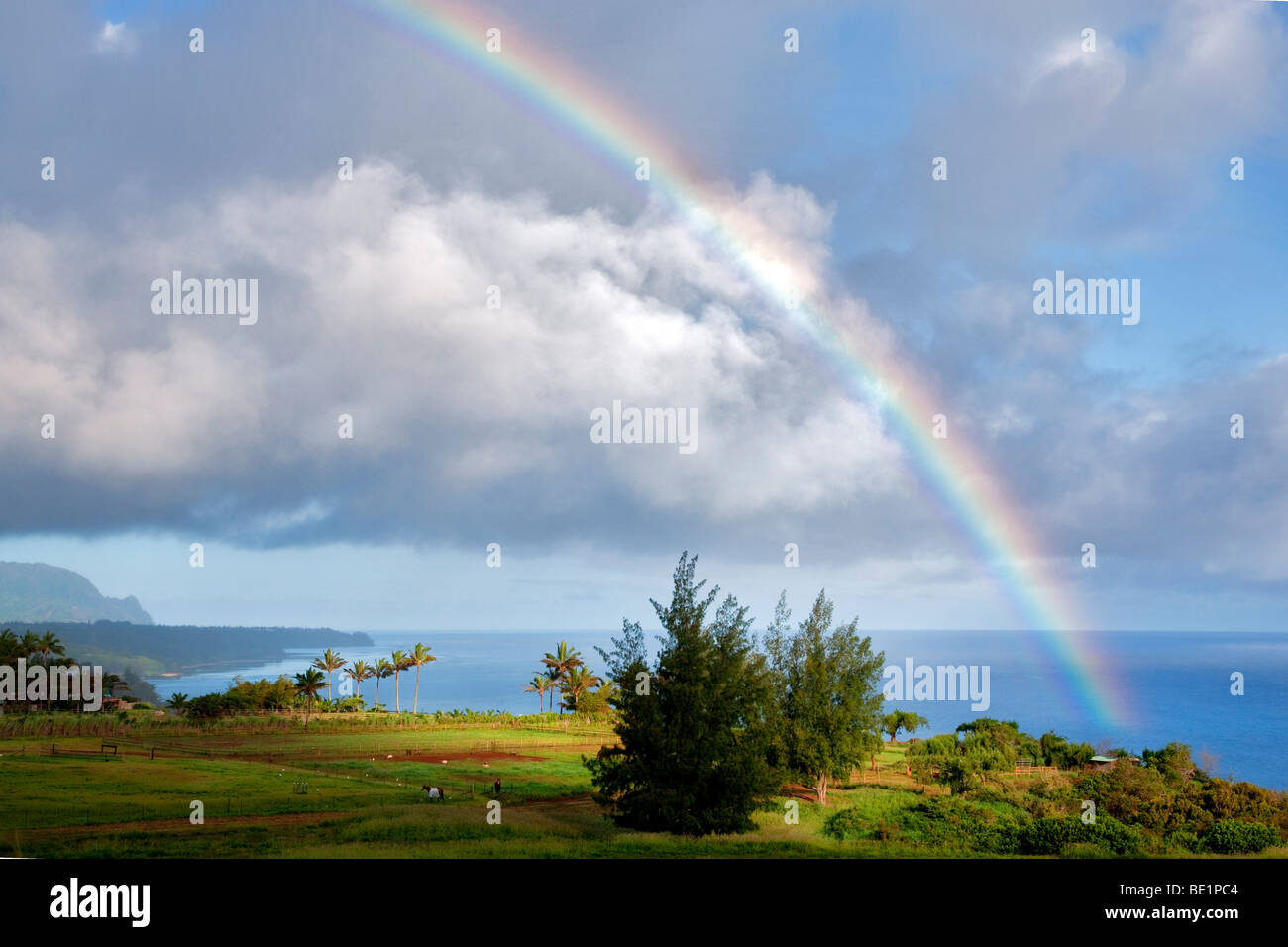 Rainbow au Kilauea Point, Kauai, Hawaï. Banque D'Images