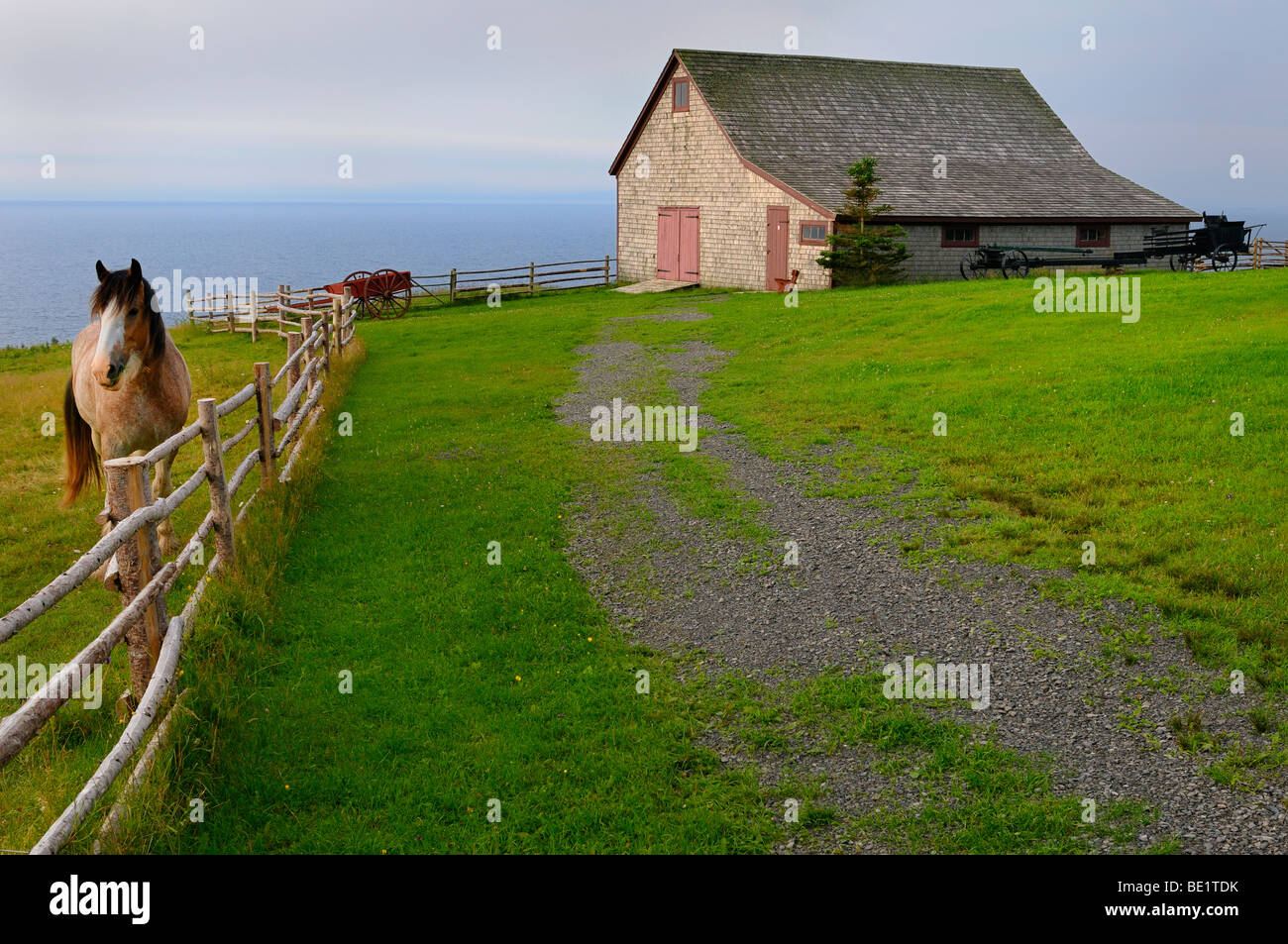 Cheval clydesdale et grange au lac Bras d'or au Highland Village Museum iona l'île du Cap-Breton, Nouvelle-Écosse Canada Banque D'Images