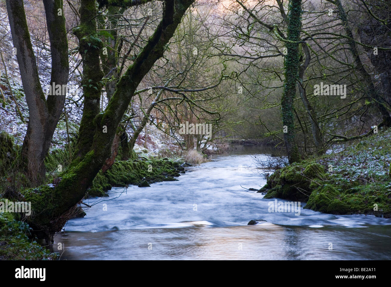 La rivière Wye passant par Chee Dale dans la vallée de la Wye près de Buxton, dans le Derbyshire Banque D'Images