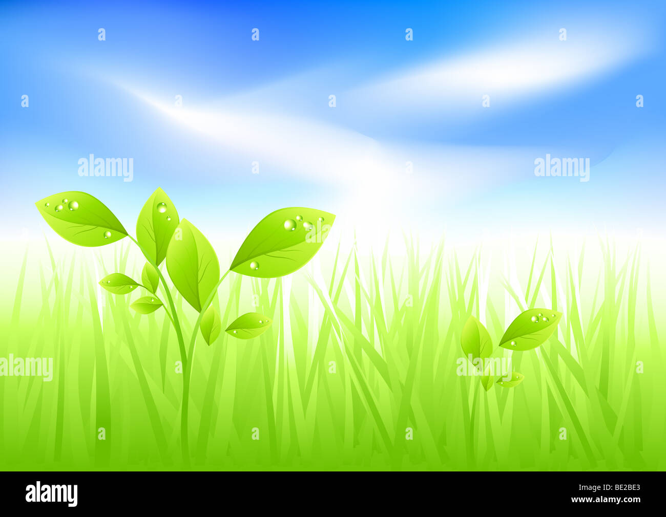 Fond d'herbe verte vector illustration. Banque D'Images