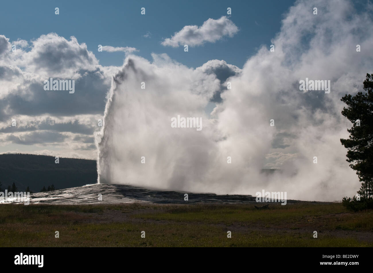 Old Faithful Geyser Banque D'Images