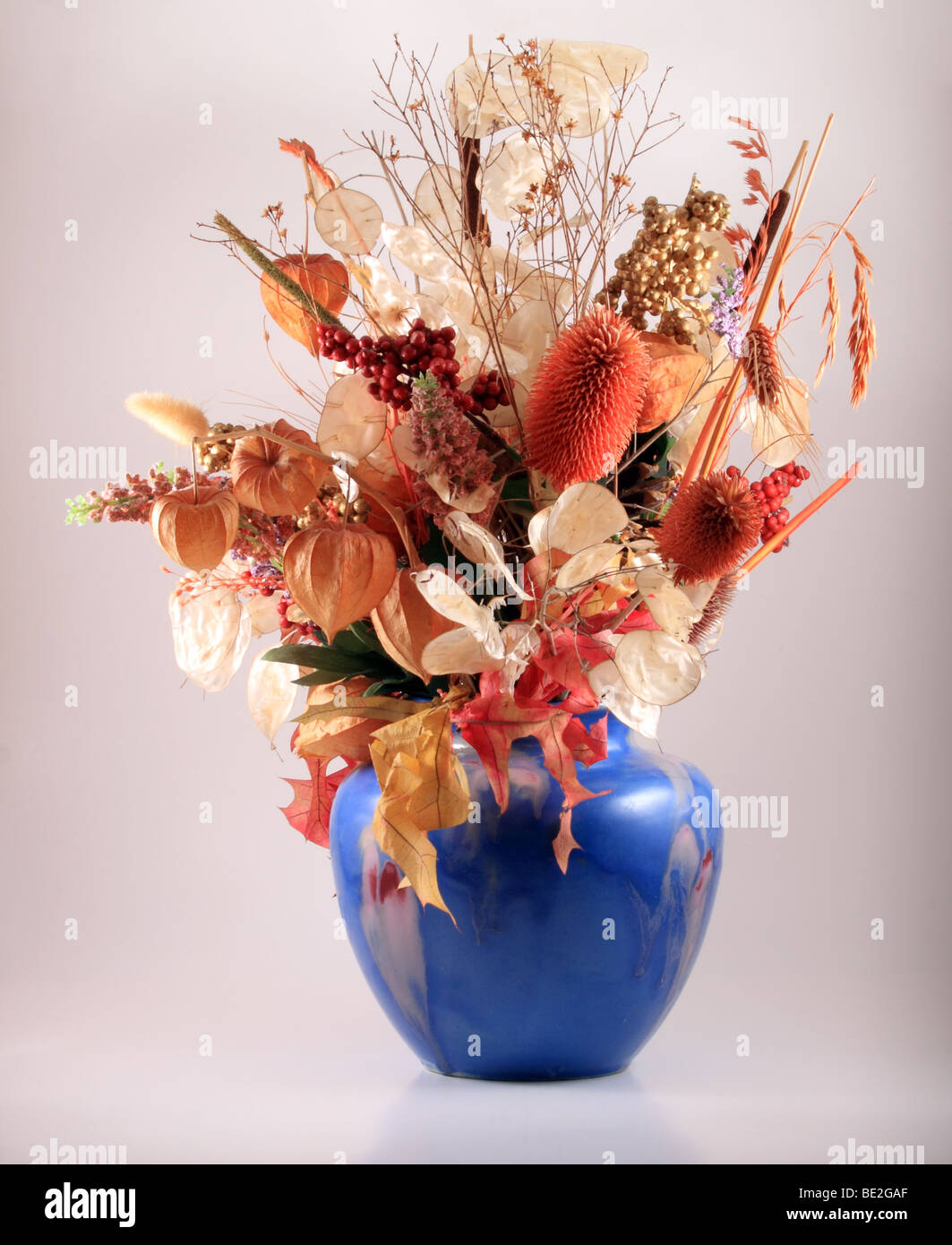 Fleurs séchées dans un vase bleu. Banque D'Images