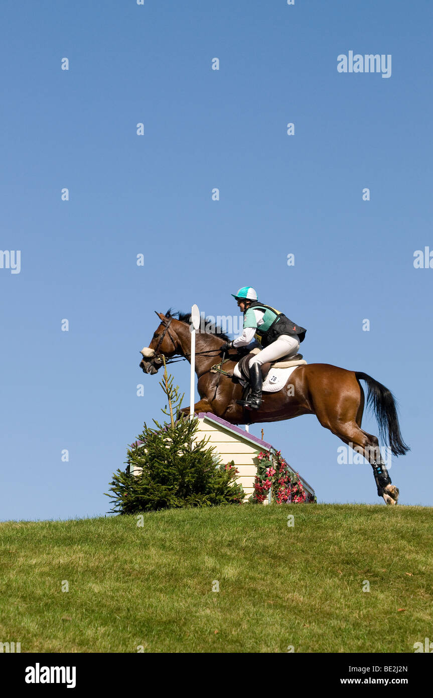 Le cheval et le cavalier à l'équitation de Blenheim Banque D'Images