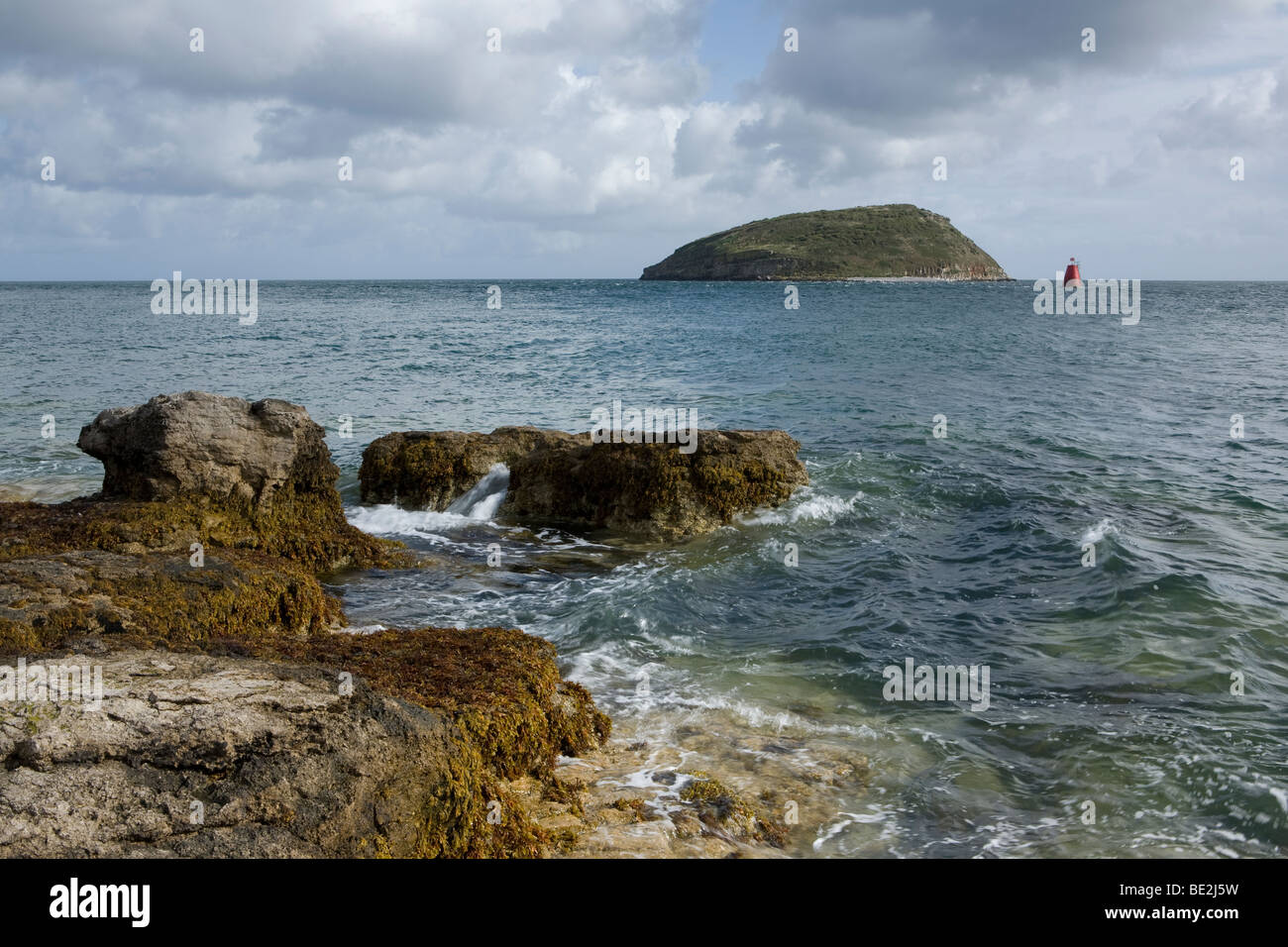 L'île de macareux sur Anglesey, Pays de Galles, Royaume-Uni Banque D'Images