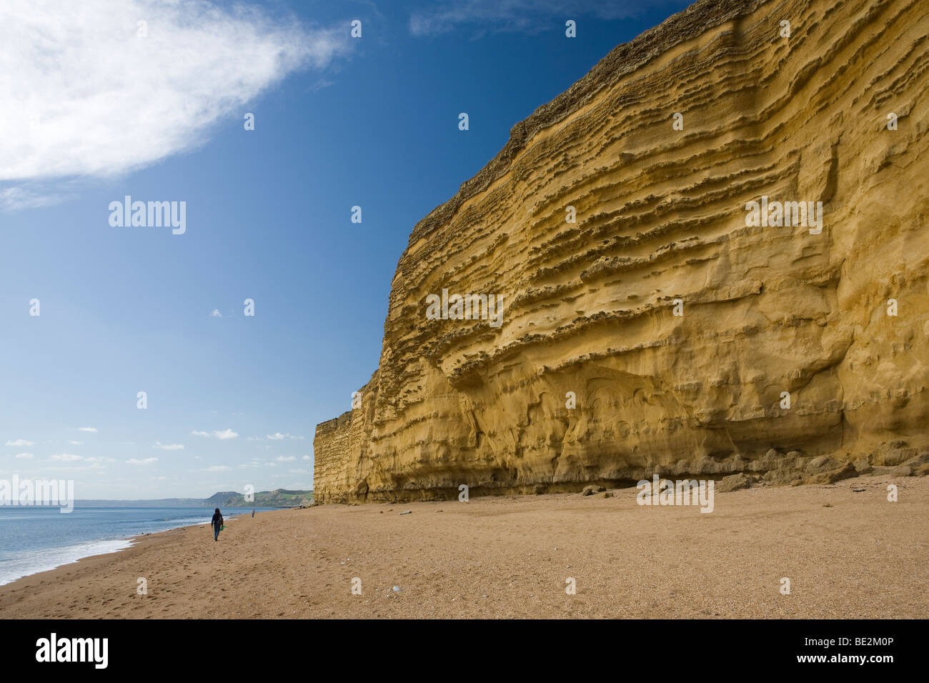 La plage et les falaises à Burton Bradstock sur la côte jurassique du Dorset, Angleterre Banque D'Images