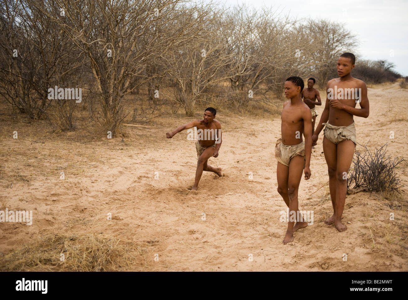 Bushman Naro (SAN) à jouer du stick de jeter jeu, Central Kalahari, Botswana Banque D'Images