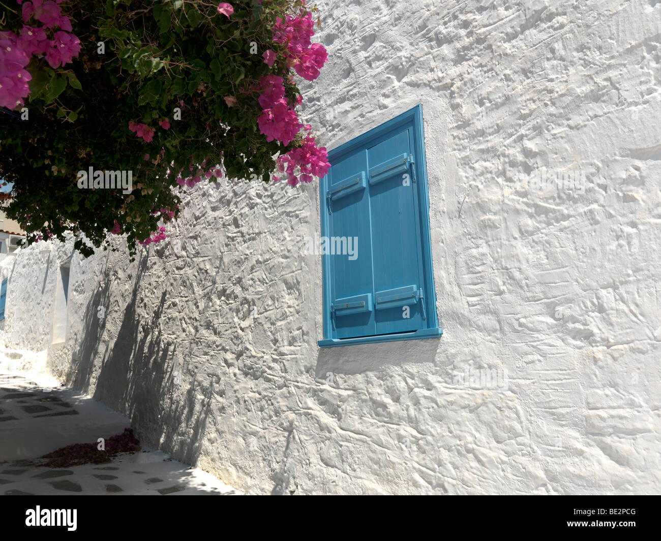 Bougainvilliers et volets bleus à Perdika Street Aegina Island Grèce Attica Banque D'Images