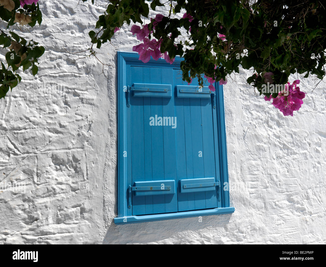 Bougainvilliers et volets bleus à Perdika Street Aegina Island Grèce Attica Banque D'Images