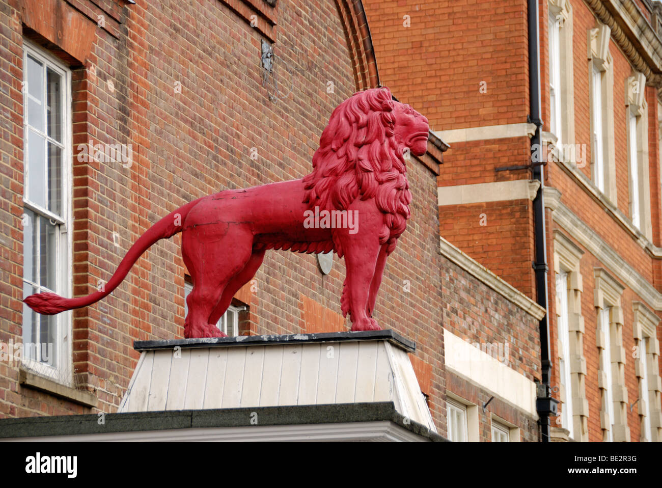 Statue d'un lion à l'extérieur de l'ancien Red Lion Hotel à High Wycombe, Buckinghamshire, Angleterre, Royaume-Uni. Banque D'Images