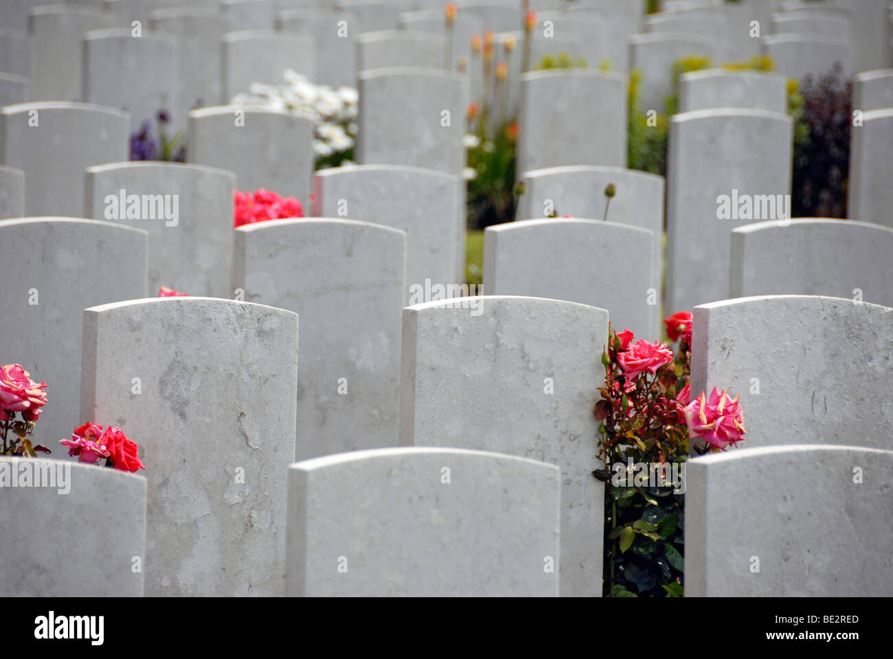 Cimetière du Commonwealth de Tyne Cot, Passchendaele, près d'Ypres, Belgique. Banque D'Images