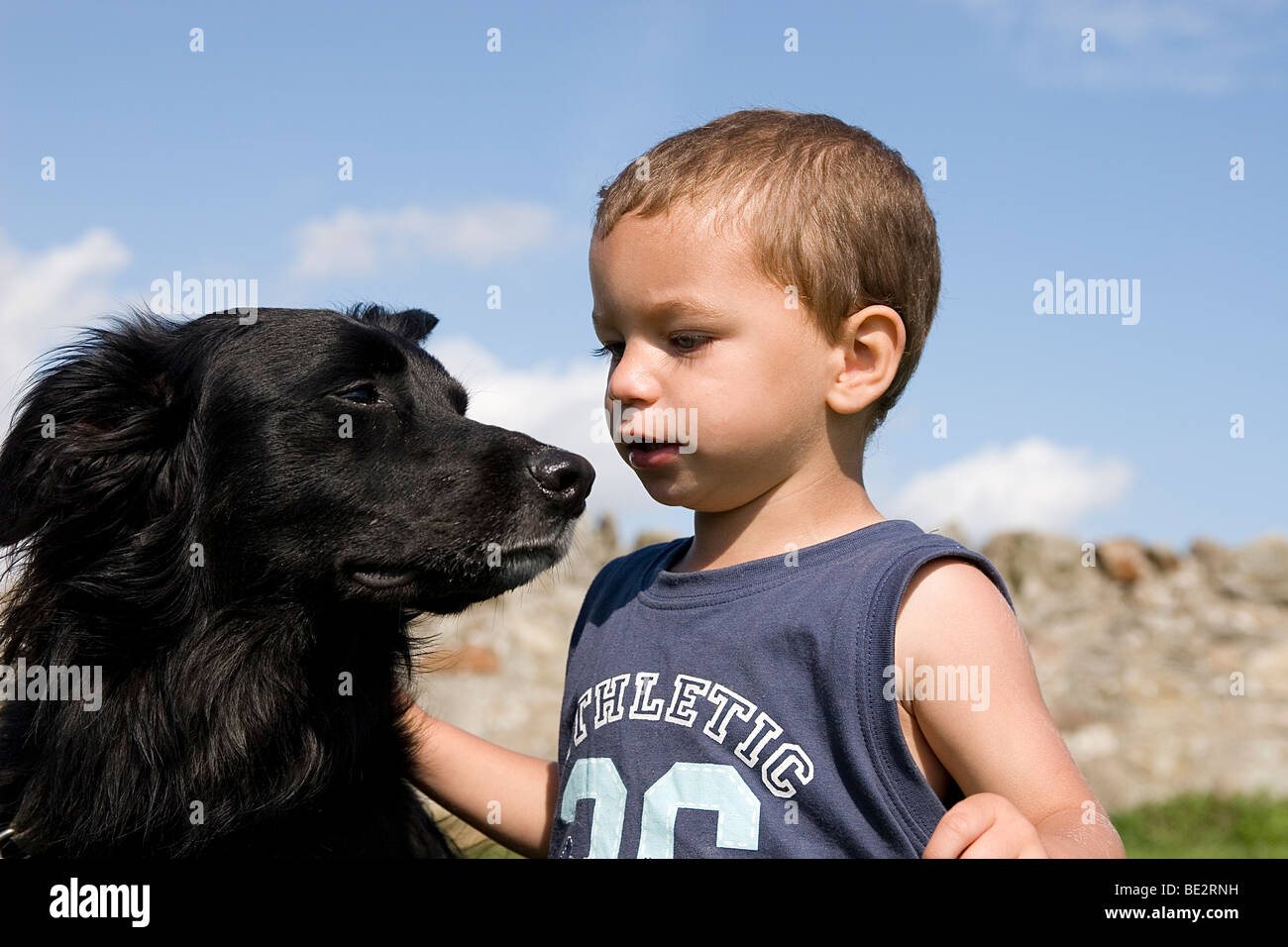 Bébé Garçon jouant avec son animal cross border collie dog outdoors Banque D'Images