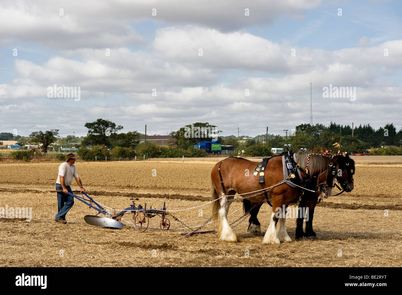 Laboureur et une équipe de chevaux lourds reposant après le labour d'un champ à l'Essex County Show. . Photo par Gordon 1928 Banque D'Images