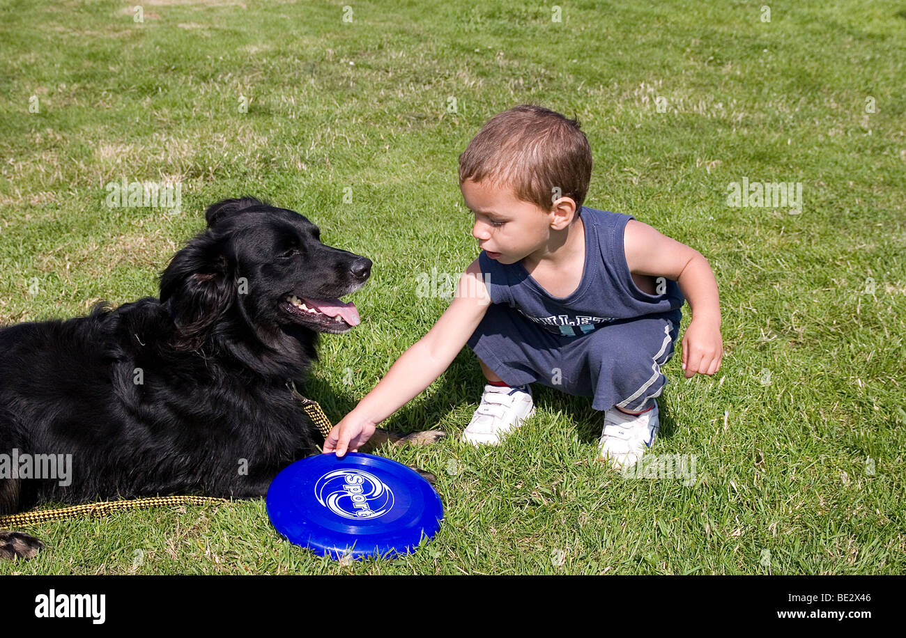 Bébé Garçon jouant avec son animal cross border collie dog outdoors Photo  Stock - Alamy