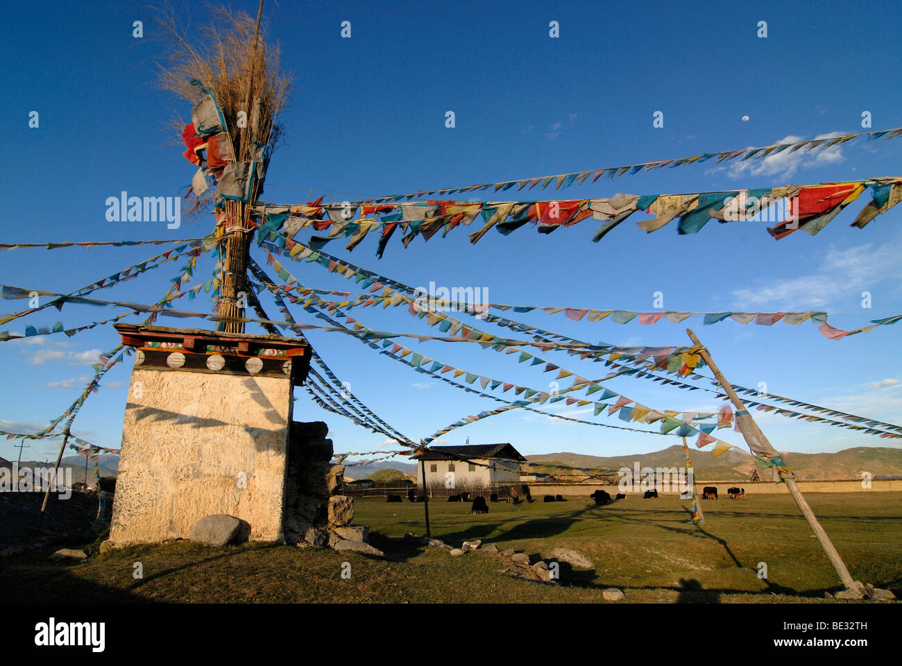 Chorten tibétain avec les drapeaux de prières en face de yacks (Bos mutus), yak tibétain, le pâturage sur une prairie en face de highland est un Banque D'Images