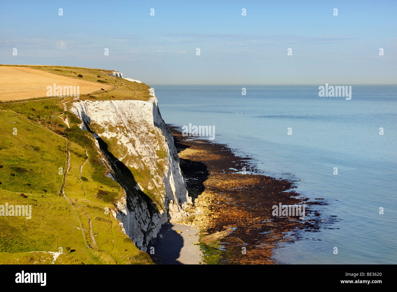 Vue sur les falaises blanches de Douvres, Kent, Angleterre, Royaume-Uni, Europe Banque D'Images