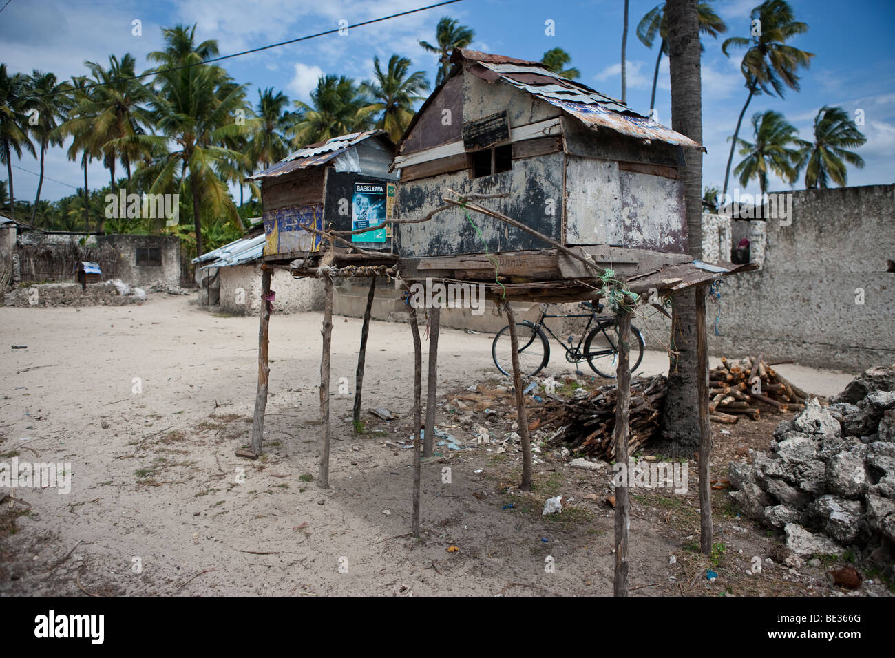 Deux maisons sur pilotis d'oiseaux dans le village de Jambiani, Zanzibar, Tanzania, Africa Banque D'Images