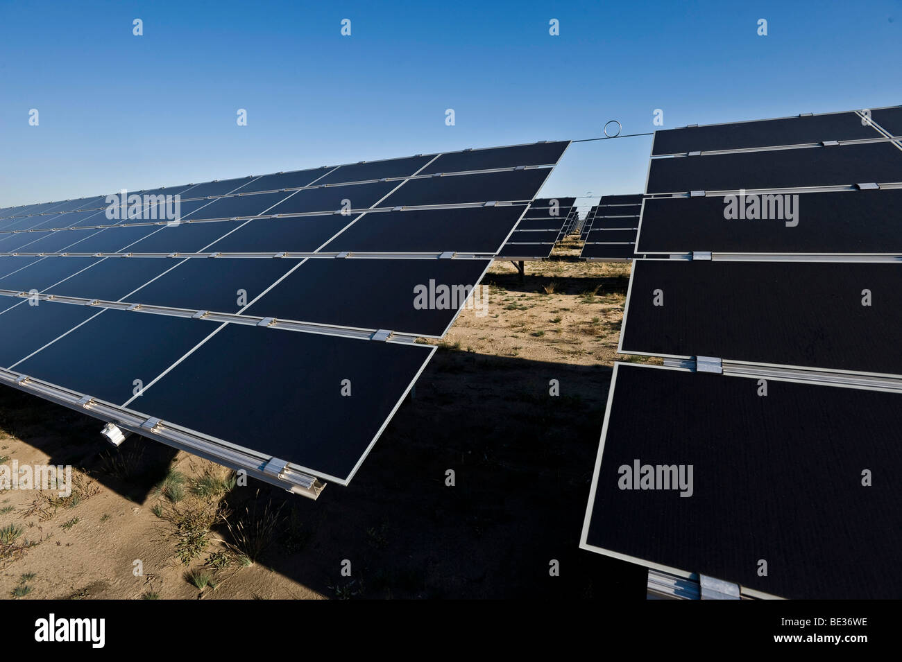Le plus grand parc solaire de Lieberose, Spreewald, Brandebourg, Allemagne, Europe Banque D'Images